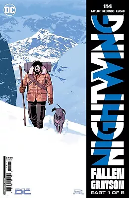Buy Nightwing #114 (2024) (New) Choice Of Covers • 3.88£