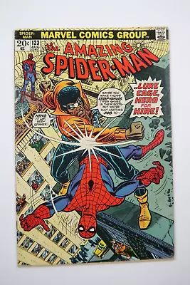 Buy Amazing Spider-Man #123 Gwen Stacy Funeral Battle Vs Luke Cage 1973 Marvel VG+/F • 23.30£