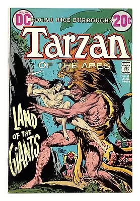 Buy Tarzan #211 VF- 7.5 1972 • 5.28£