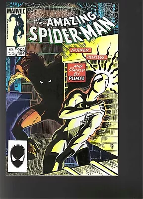Buy Amazing Spider-Man #256 1984 9.4 • 38.83£