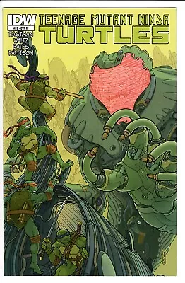 Buy Teenage Mutant Ninja Turtles #20, Tmnt, 1:10 Variant, Idw (2013) • 9.95£