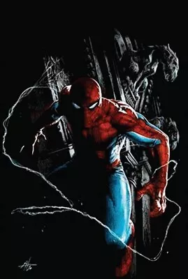 Buy Amazing Spider-Man #48 (RARE Gabriele Dell'Otto Virgin Variant Cover) • 19.99£