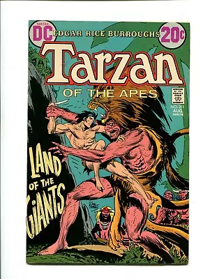Buy Tarzan 211 VF 8.0 3115 DC Comics 1972 • 13.94£