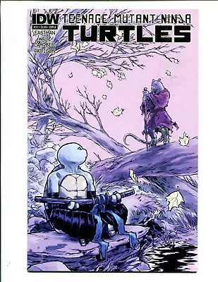 Buy Teenage Mutant Ninja Turtles #31 -Sophie Campbell Cover A Variant (9.0/9.2) 2014 • 23.33£
