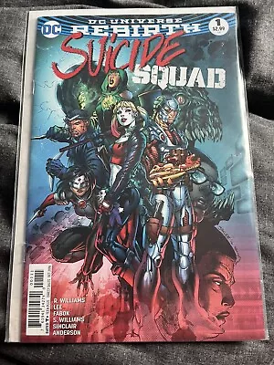 Buy Suicide Squad #1 Dc Universe Rebirth First Print  • 6.50£