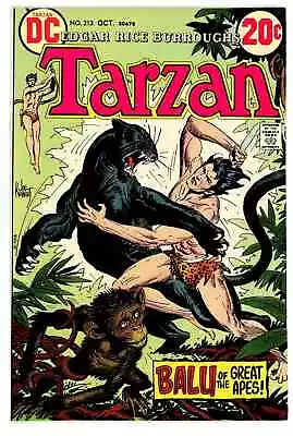 Buy DC Tarzan - Issue #213 (1972) Excellent Condition • 11.65£