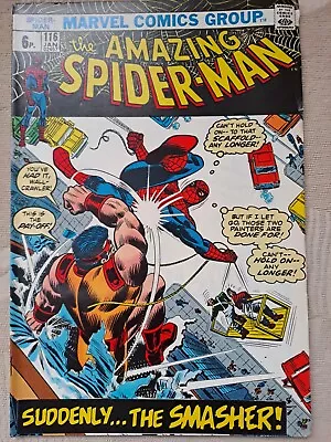 Buy Amazing Spiderman #116 (Jan 1973)  FINE Great Comic • 5£