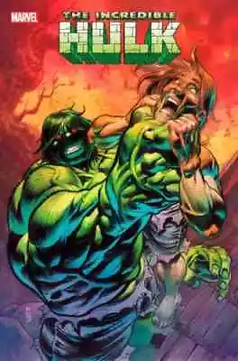 Buy Incredible Hulk #13 - Regular Cover - Johnson - Marvel Comics - 2024 • 2.48£