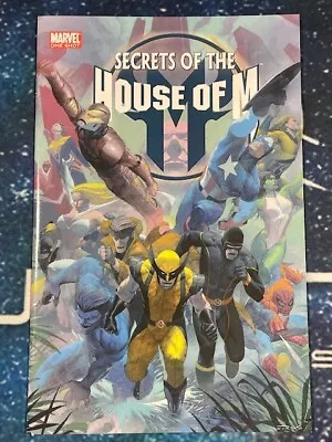 Buy Secrets Of The House Of M (2005) Marvel - One-Shot (M73) • 7.77£