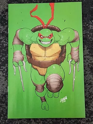 Buy Teenage Mutant Ninja Turtles #1 (2024) DAVID NAKAYAMA EXCLUSIVE VIRGIN VARIANT  • 23.30£