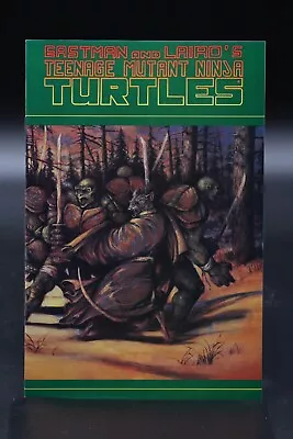 Buy Teenage Mutant Ninja Turtles (1984) #31 1st Series Michael Zulli Cover VF/NM • 7£