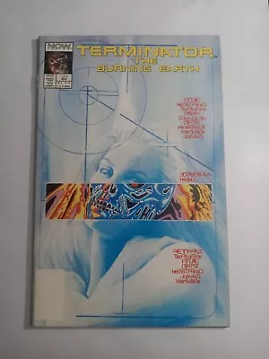 Buy TERMINATOR THE BURNING EARTH # 1 (Now Comics, 1989) 1st APPEARANCE ALEX ROSS ART • 15.52£