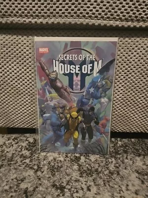 Buy Secrets Of The House Of M #1 (One Shot) - Marvel Comics - 2005 • 4£