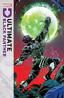 Buy [PRE-ORDER] Ultimate Black Panther (#7, #8 Inc Variants, 2024) • 7.60£