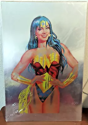 Buy Wonder Woman: Soaked Sensation #17/100 ~ Joe Rubinstein 12  X 18  • 15.52£