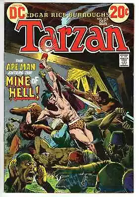 Buy DC Tarzan - Issue #215 (1972) Excellent Condition • 11.65£