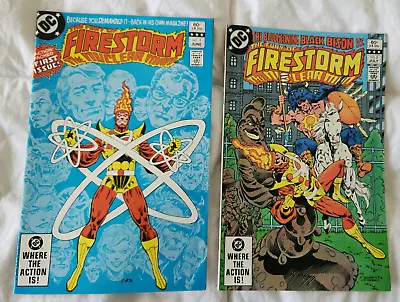 Buy FURY OF FIRESTORM THE NUCLEAR MAN #1 & 2 NM SIGNED Gerry Conway DC Comics 1982 • 15.49£