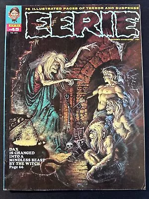 Buy EERIE #45 Warren Horror Magazine Comic Book Bronze Age 1st Print 1973 Fine • 10.86£