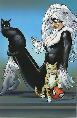 Buy AMAZING SPIDER-MAN #31 Greg Land 1:50 Black Cat Virgin Variant Cover !!!   NM • 17.08£